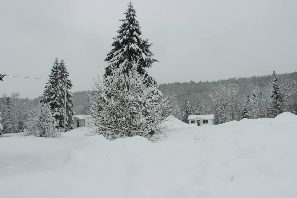 Chalet Au Bord Du St-Maurice La Tuque Exterior photo